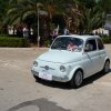 Montevago 2010 (230)